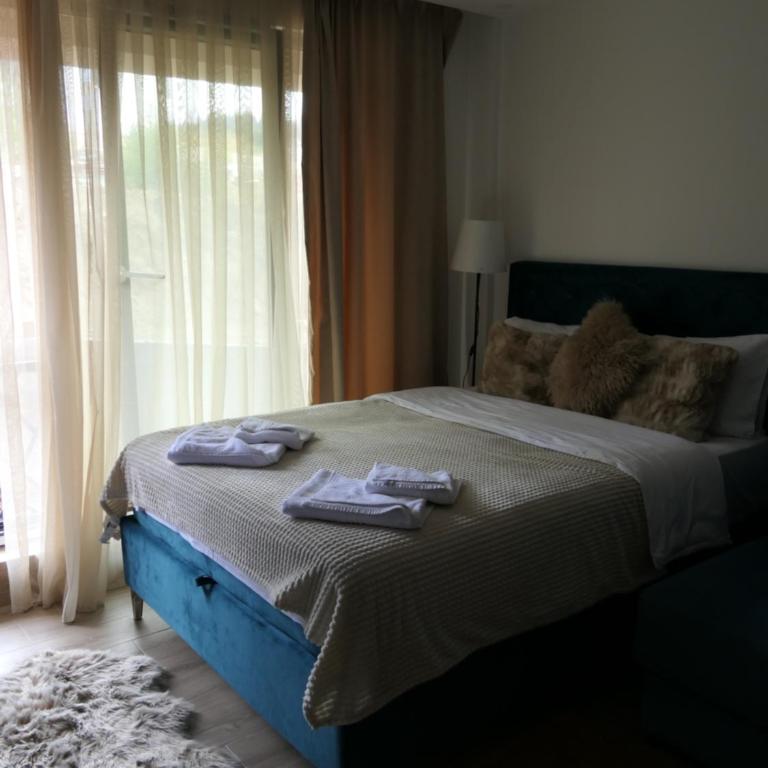 Andromeda Apartment Residence Hill Kopaonik - One-Bedroom Apartment - 51
