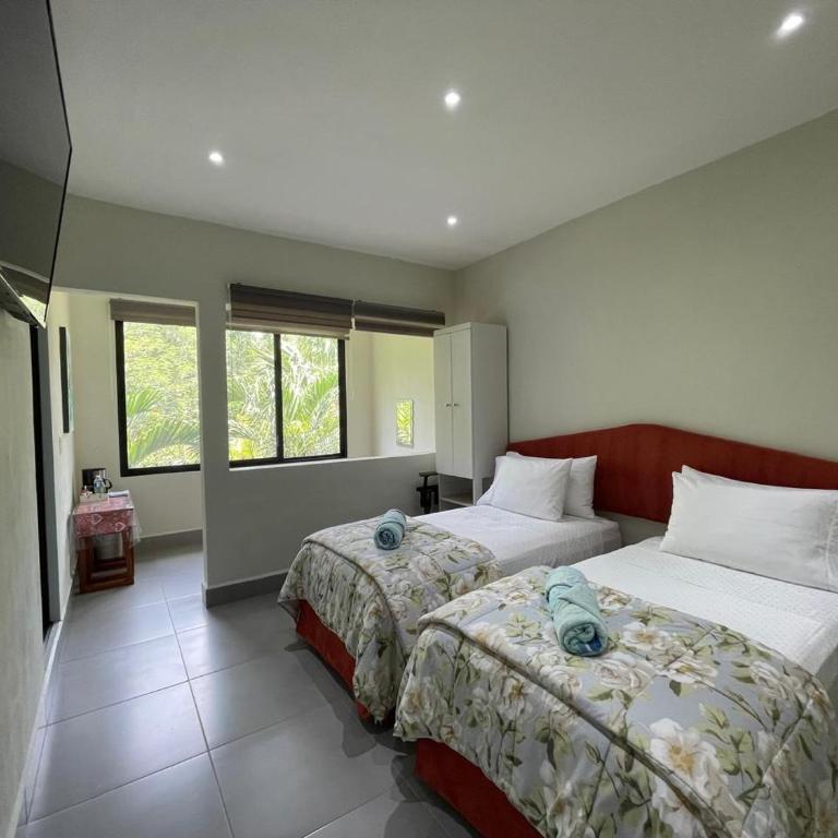 The Blue Eco Lodge - Habitación Doble con baño privado - 1 o 2 camas - 31