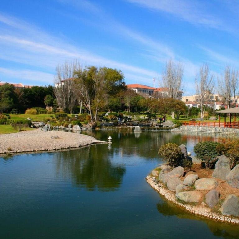 Serena Centro & Playa Apartment - Two-Bedroom Apartment - 11
