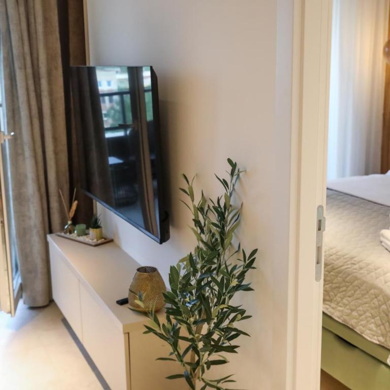 Luxury Palata Penthouse Apartments - Apartman sa 1 Spavaćom Sobom - 4
