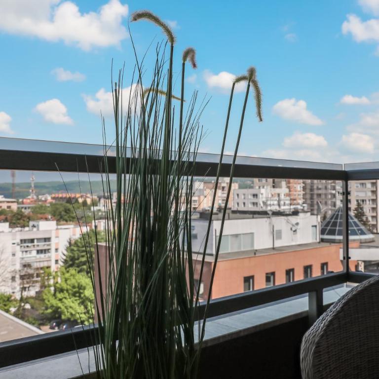 Luxury Palata Penthouse Apartments - Apartman sa 1 Spavaćom Sobom - 9