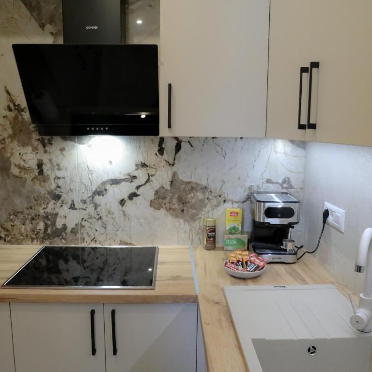 Luxury Palata Penthouse Apartments - Apartman sa 1 Spavaćom Sobom - 17