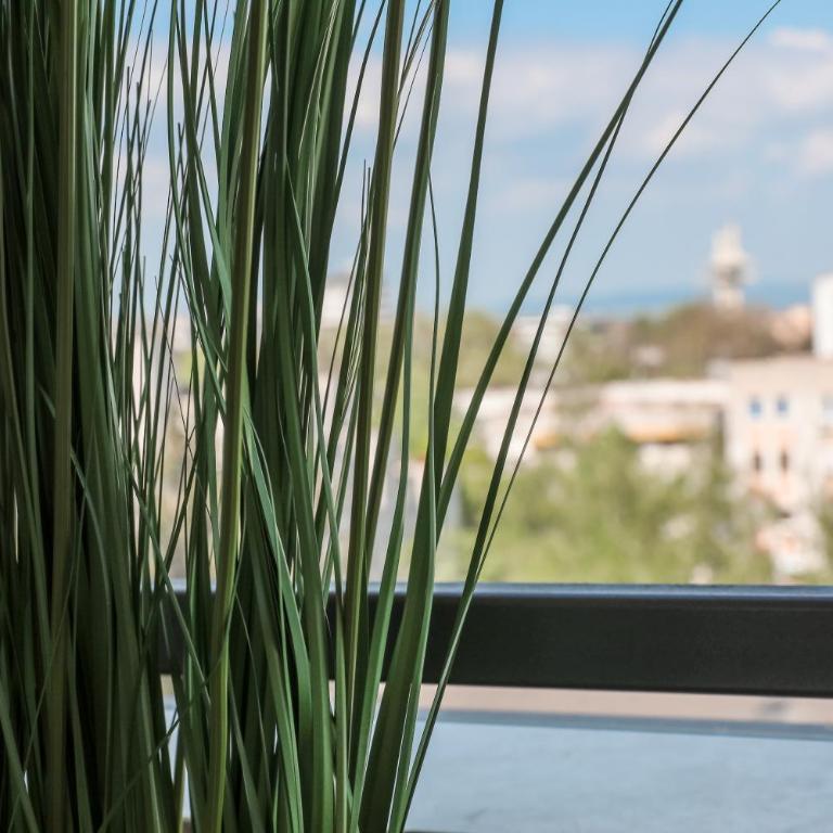 Luxury Palata Penthouse Apartments - Apartman sa 1 Spavaćom Sobom - 24