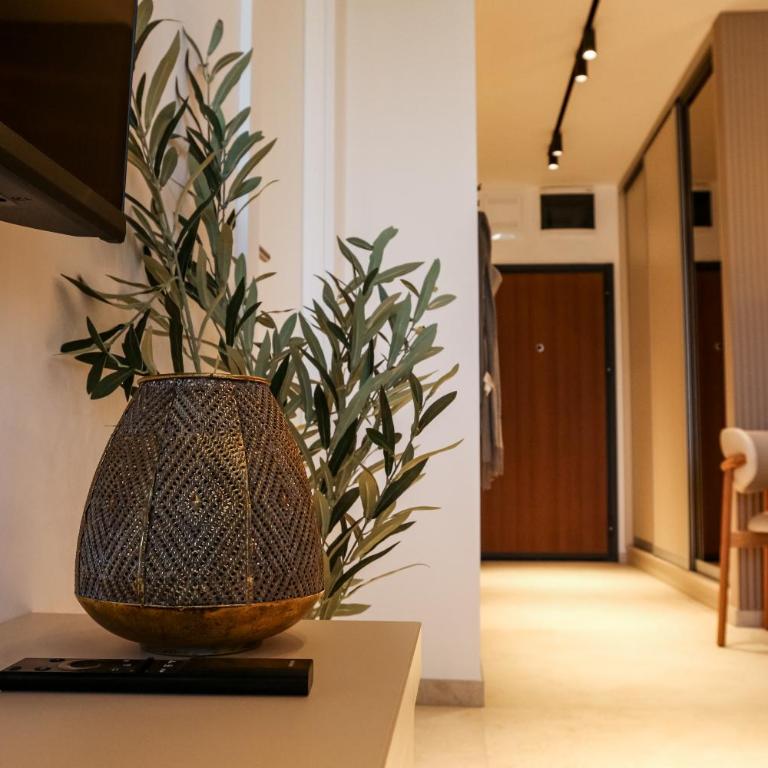 Luxury Palata Penthouse Apartments - Apartman sa 1 Spavaćom Sobom - 25