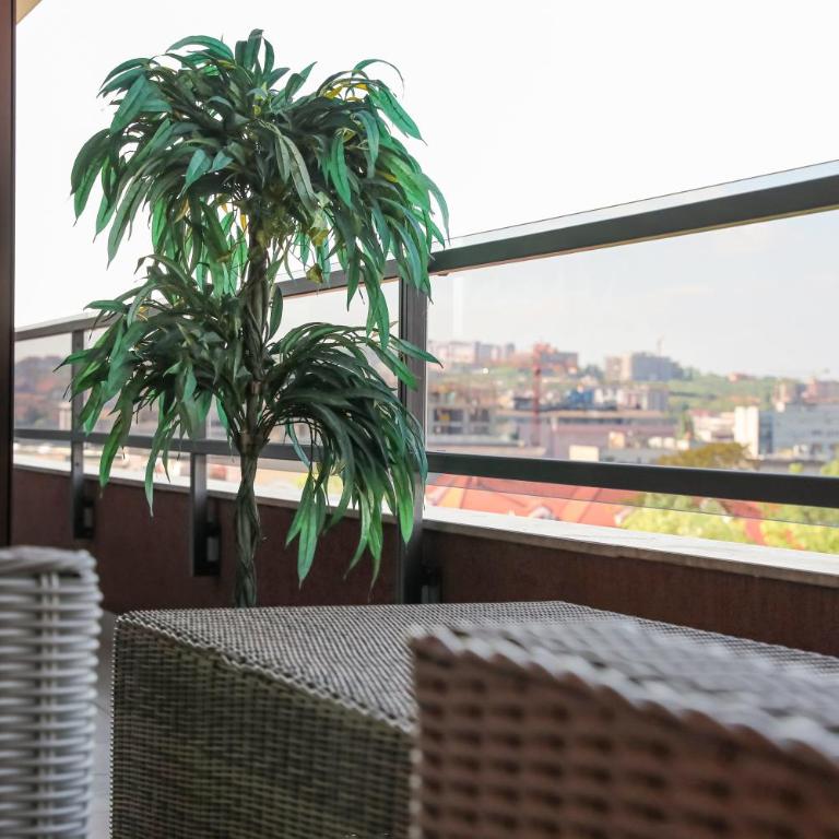 Luxury Palata Penthouse Apartments - Apartman sa 2 Spavaće Sobe - 25