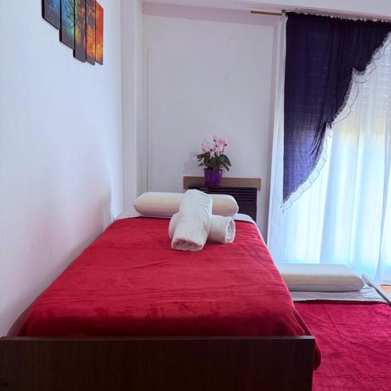 Apartamento 14 - Apartamento de 1 dormitorio - 2