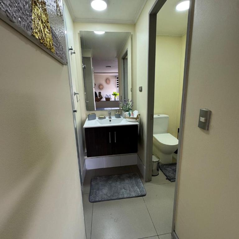 Céntrico Departamento en el corazón de Santiago - Apartamento de 2 dormitorios - 27