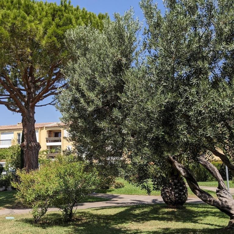 Oasis Climatisé, Piscine, Confortable, Paisible, Garage privé, Jardin, Cuisine Équipé - Apartment mit Gartenblick - 16