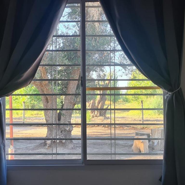 Los olivos - One-Bedroom House - 4
