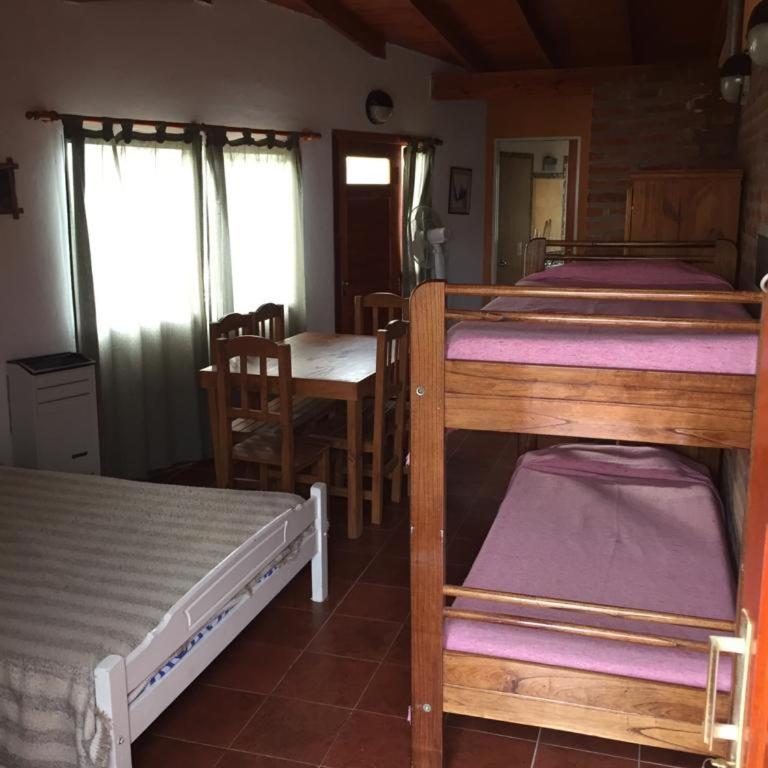 En Esta Tierra - One-Bedroom Apartment - 4