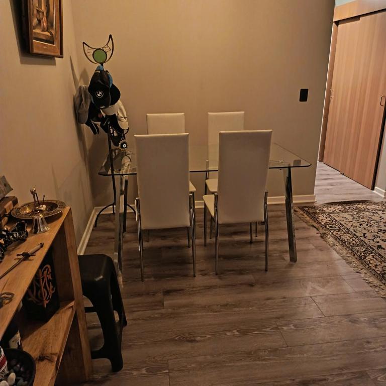 Arriendo departamento amoblado por día - Apartamento de 2 dormitorios - 1