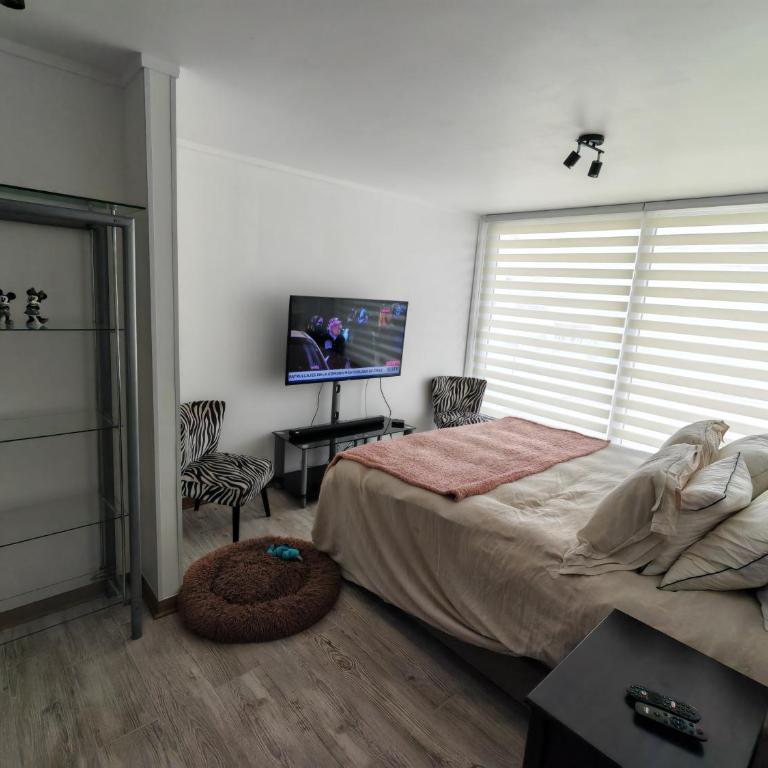 Terrazas de Cochoa 2 - Two-Bedroom Apartment with Terrace and Sea View - 4