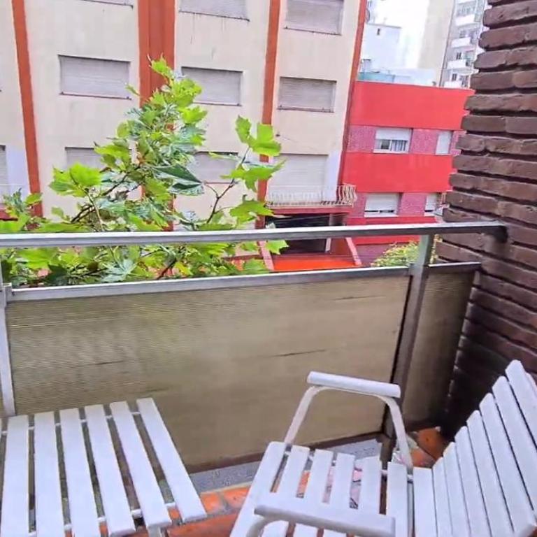 Departamento 2 dormitorios - Apartamento de 3 dormitorios - 3