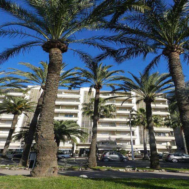 Ô Béatrice Croisette - Appartement - 19