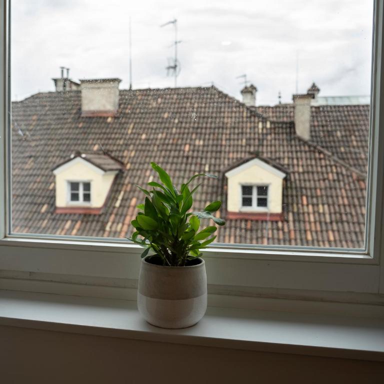 Talvera Dream - City center, Rooftop, Garage & Jacuzzi - Apartment mit 2 Schlafzimmern - 12