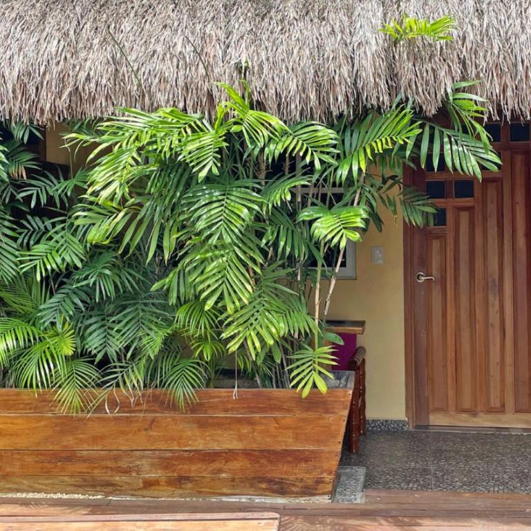 Maya Dreams Bacalar - Habitación Doble con vistas a la piscina - 13