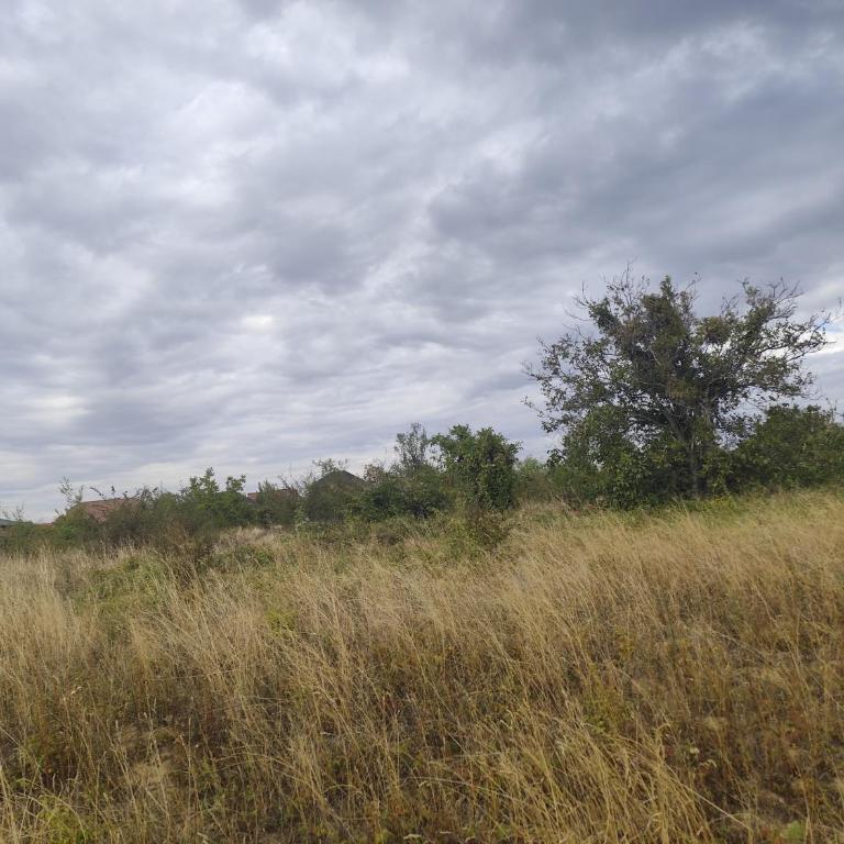 Summer - Apartman sa 2 Spavaće Sobe - 14