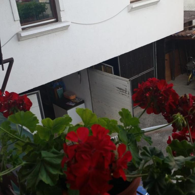 Apartments Aida - Apartment - 16