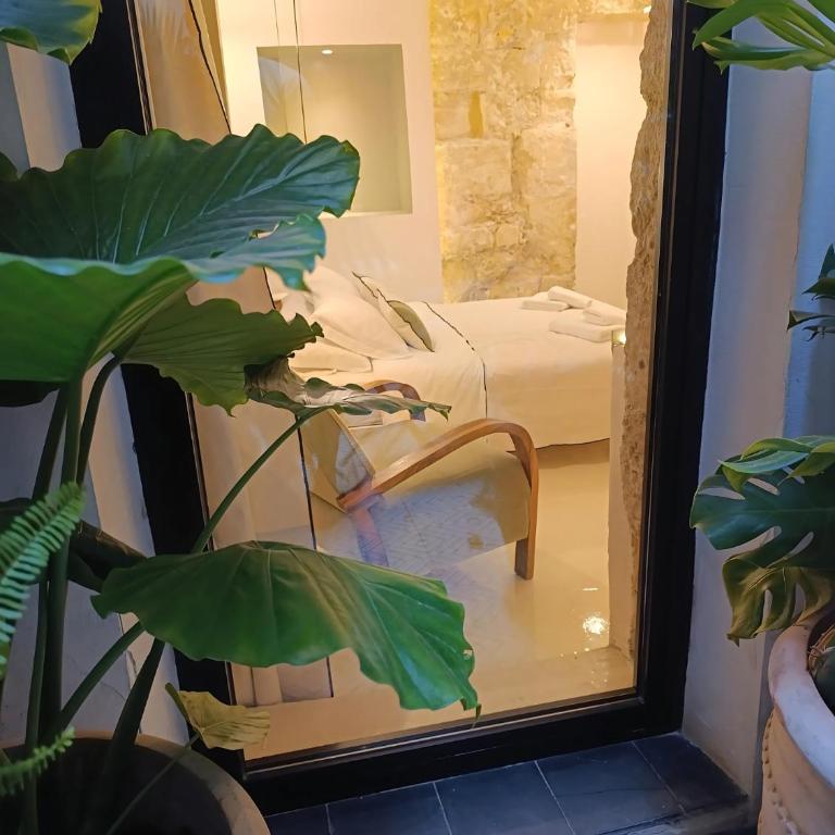 Beautiful Duplex Private Patio Alicante Center - Two-Bedroom Apartment - 31