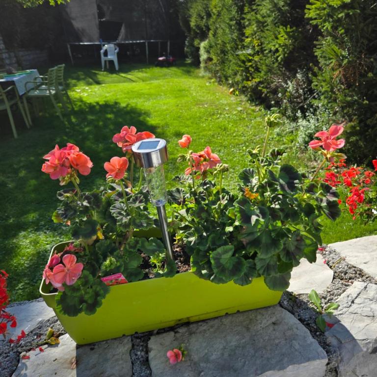 Haus Bellaflora Apartman - Apartment mit 4 Schlafzimmern - 53