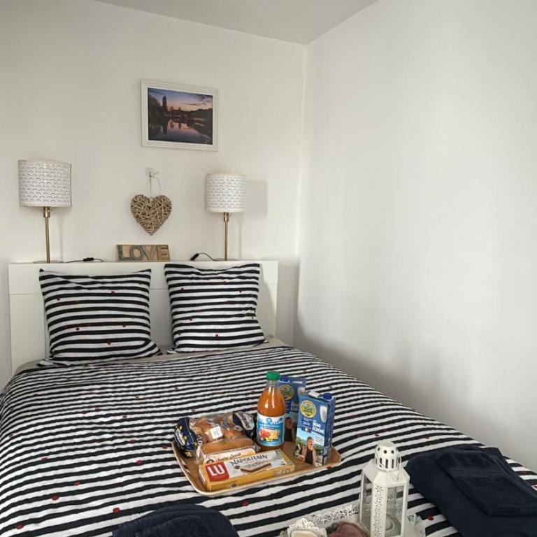 Parenthèse nantaise, T2 chic et cosy, avec parking - Appartement 1 Chambre - 9