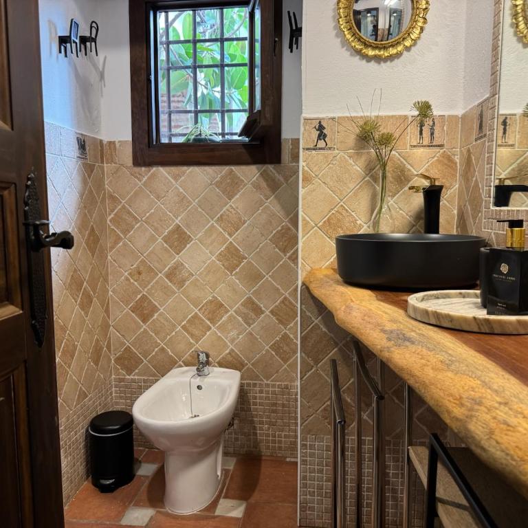 Casa Patio Corduba - Apartamento de 1 dormitorio - 22