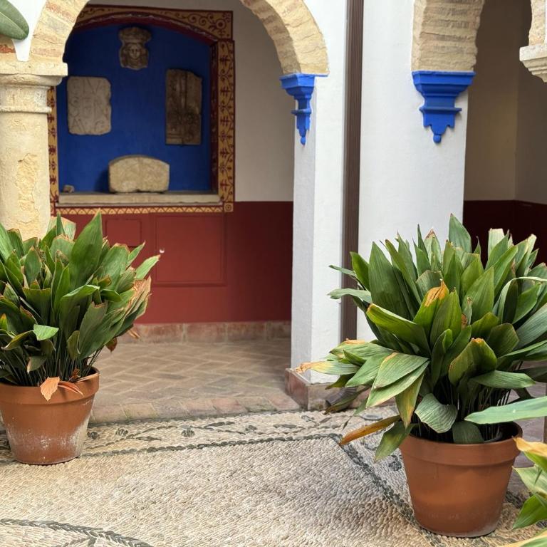 Casa Patio Corduba - Apartamento de 1 dormitorio - 28