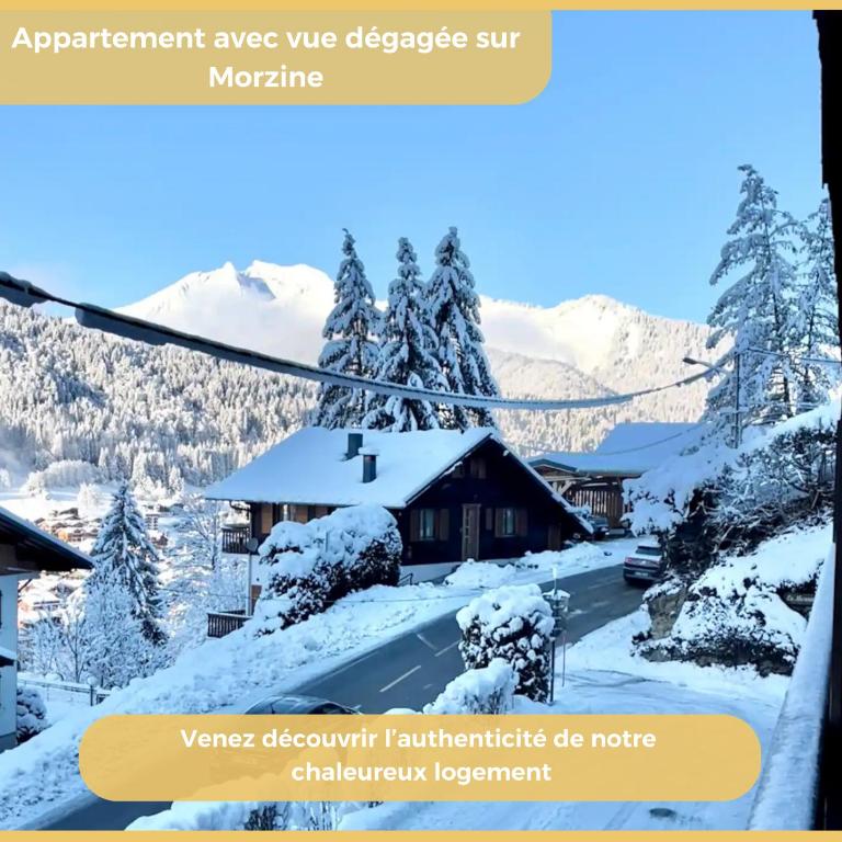 Le Flocon d'Argent I Studio I Morzine - Studio-Apartment mit Balkon - 1