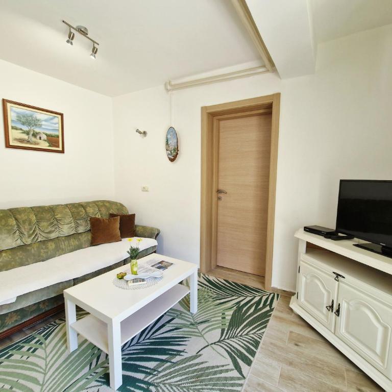 Apartments Andrija - Apartment with Mountain View - 5