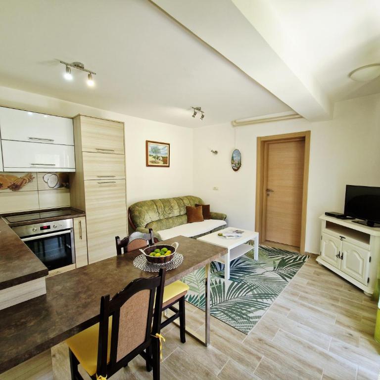 Apartments Andrija - Apartment with Mountain View - 4