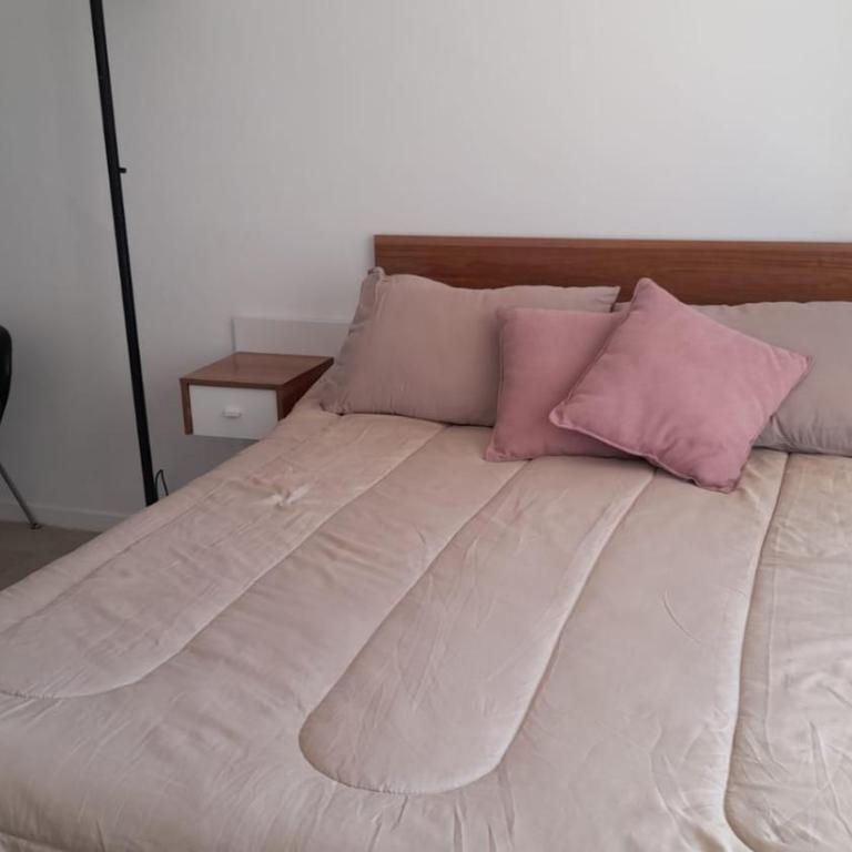 Mitre y el Río Rosario - One-Bedroom Apartment - 3