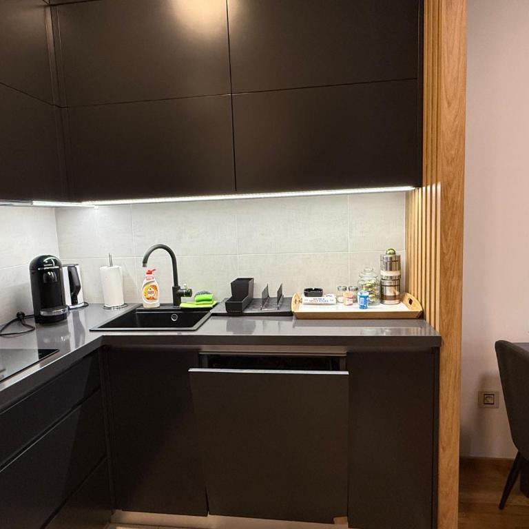Leo Pine Lux Apartments - One-Bedroom Apartment - 5