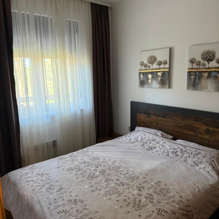 Leo Pine Lux Apartments - One-Bedroom Apartment - 2