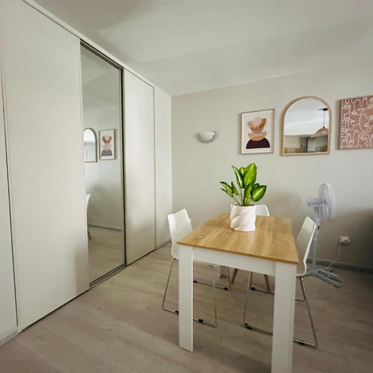 Studio de 30 m2 centre-ville NARBONNE - Apartment mit 1 Schlafzimmer - 6