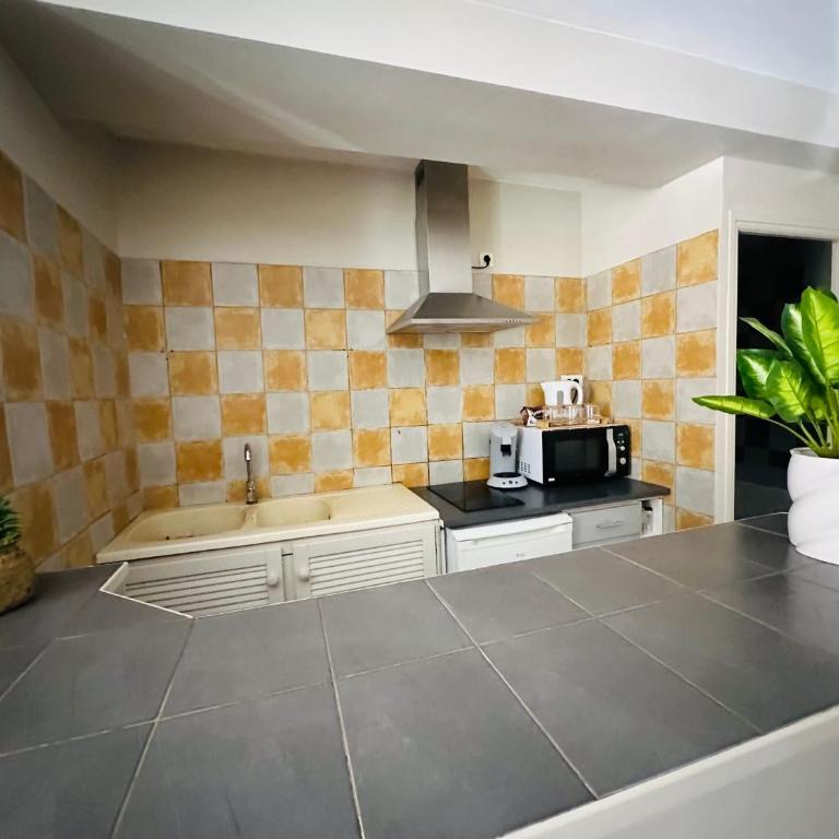 Studio de 30 m2 centre-ville NARBONNE - Apartment mit 1 Schlafzimmer - 4