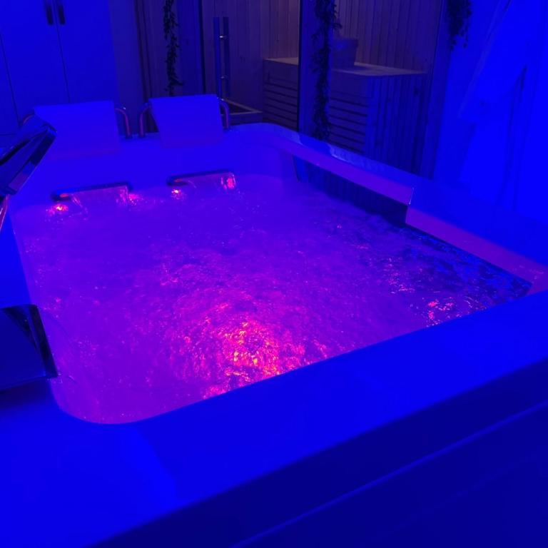 Loveroom de luxe avec jacuzzi sauna vapeur écran 300 cm - One-Bedroom Apartment - 8