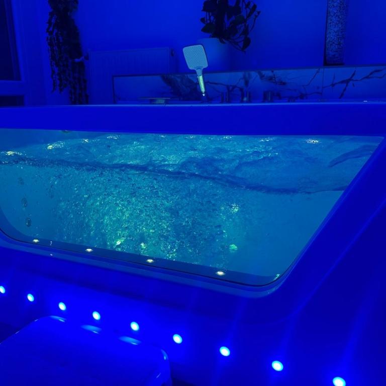 Loveroom de luxe avec jacuzzi sauna vapeur écran 300 cm - One-Bedroom Apartment - 2