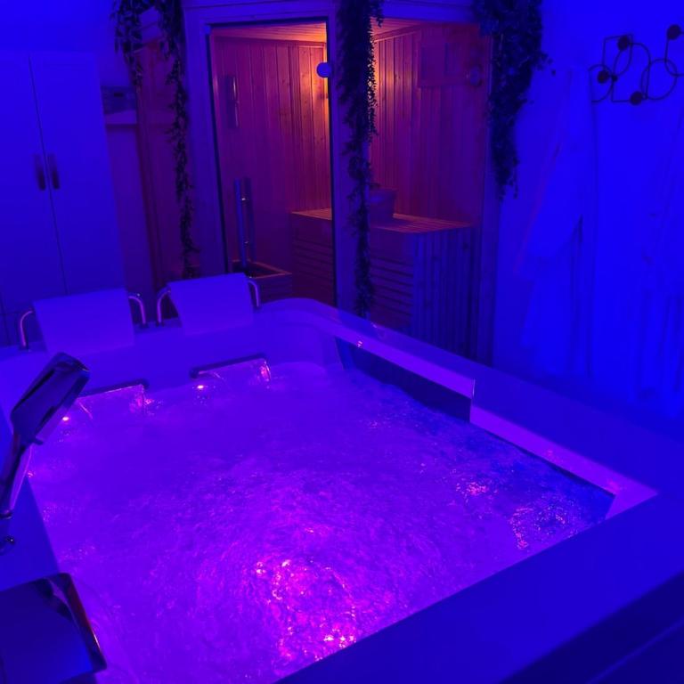 Loveroom de luxe avec jacuzzi sauna vapeur écran 300 cm - One-Bedroom Apartment - 35