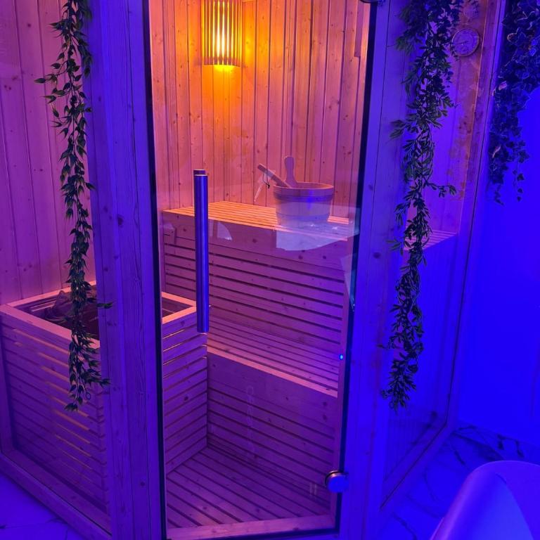 Loveroom de luxe avec jacuzzi sauna vapeur écran 300 cm - One-Bedroom Apartment - 34