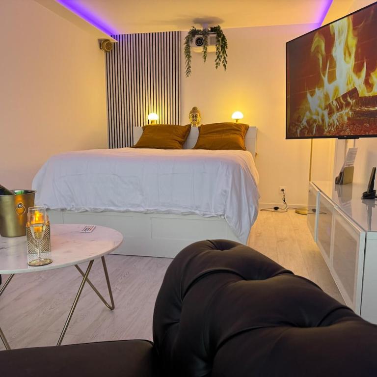 Loveroom de luxe avec jacuzzi sauna vapeur écran 300 cm - One-Bedroom Apartment - 29