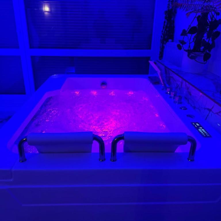Loveroom de luxe avec jacuzzi sauna vapeur écran 300 cm - One-Bedroom Apartment - 17