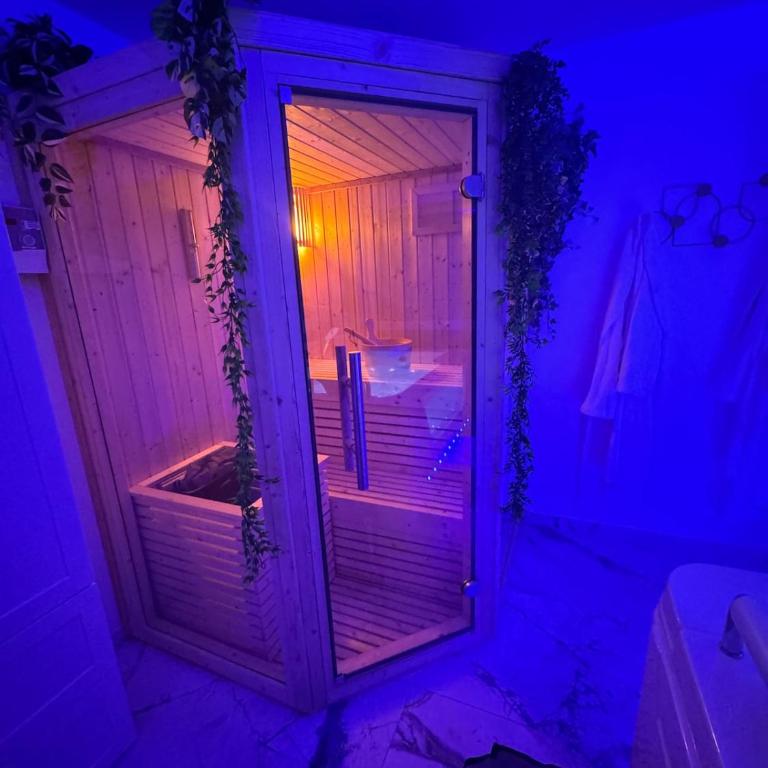 Loveroom de luxe avec jacuzzi sauna vapeur écran 300 cm - One-Bedroom Apartment - 4