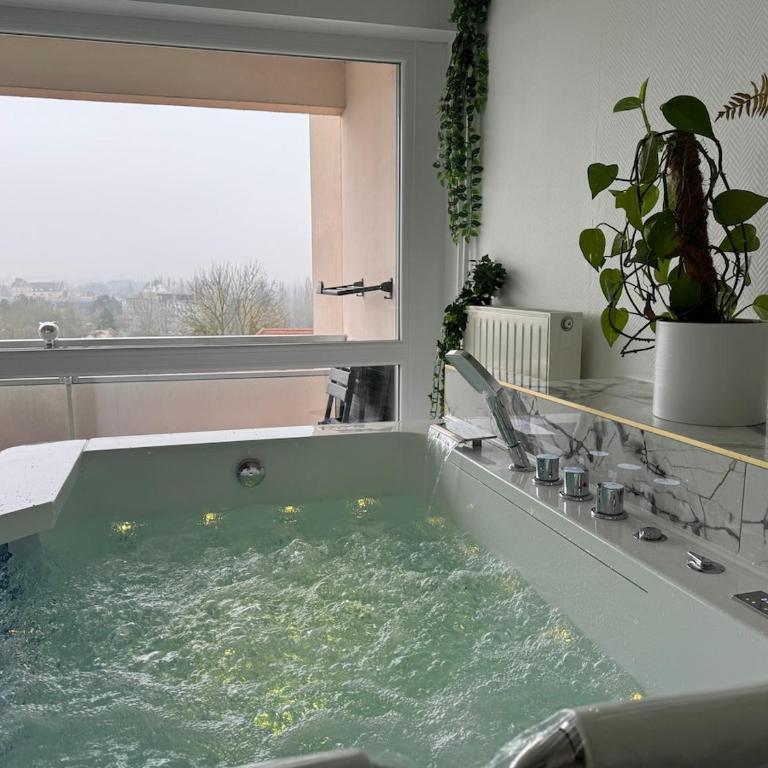 Loveroom de luxe avec jacuzzi sauna vapeur écran 300 cm - One-Bedroom Apartment - 14