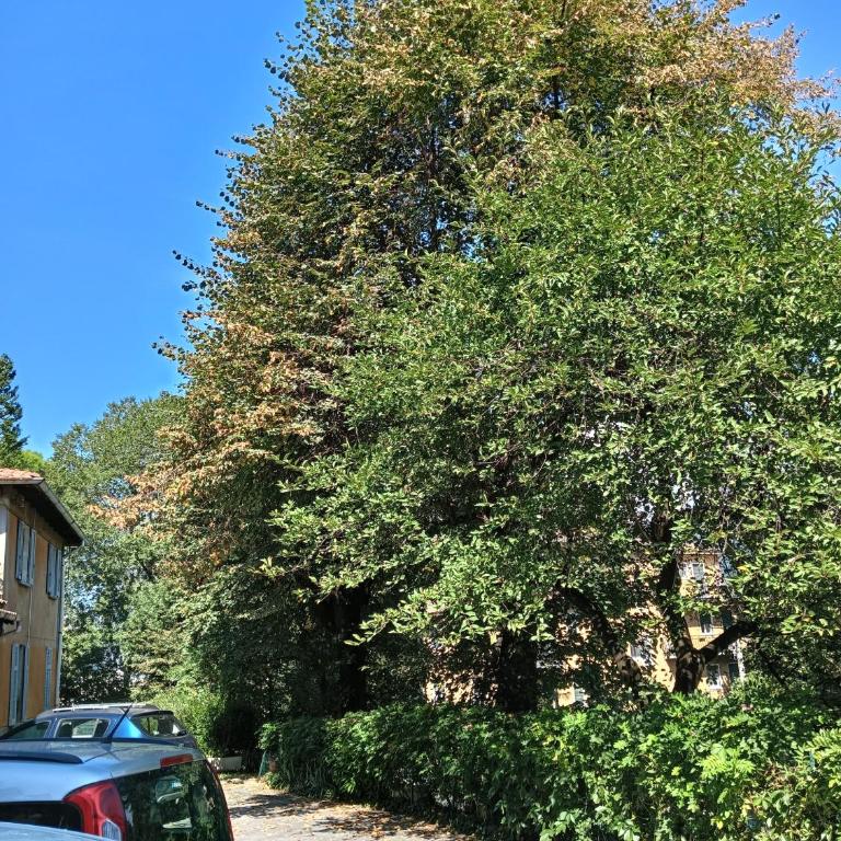 Gabbinoholidayhome Appartamento in suggestiva corte - Appartamento con 1 Camera da Letto - 24