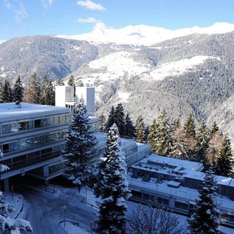 Casa Chiara Marilleva 1400 - Apartamento de 1 dormitorio - 1