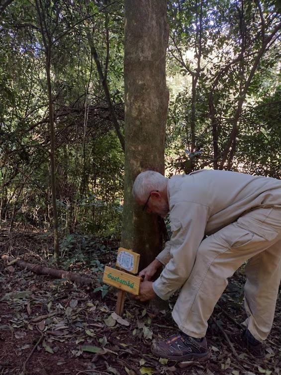 VerdeMonte - Cabaña Lapacho - Two-Bedroom House - 21