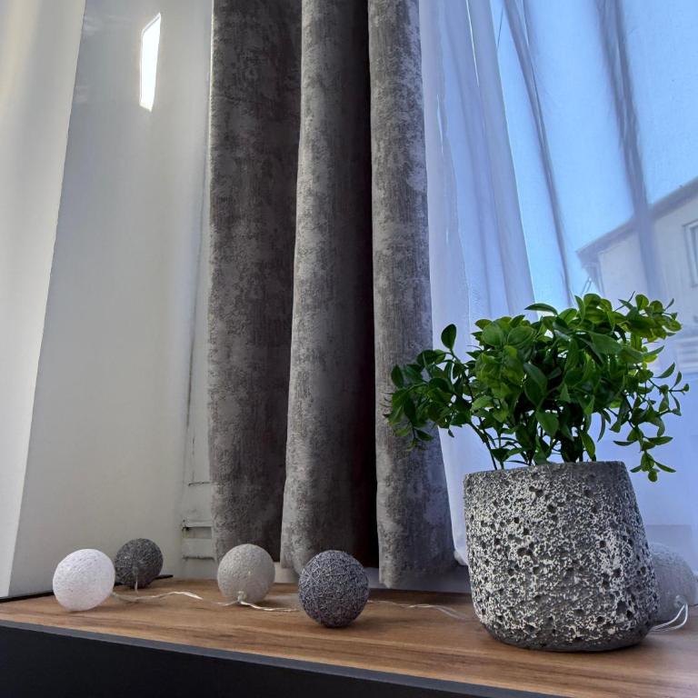 Apartment Zorica - Apartman sa 1 Spavaćom Sobom - 31