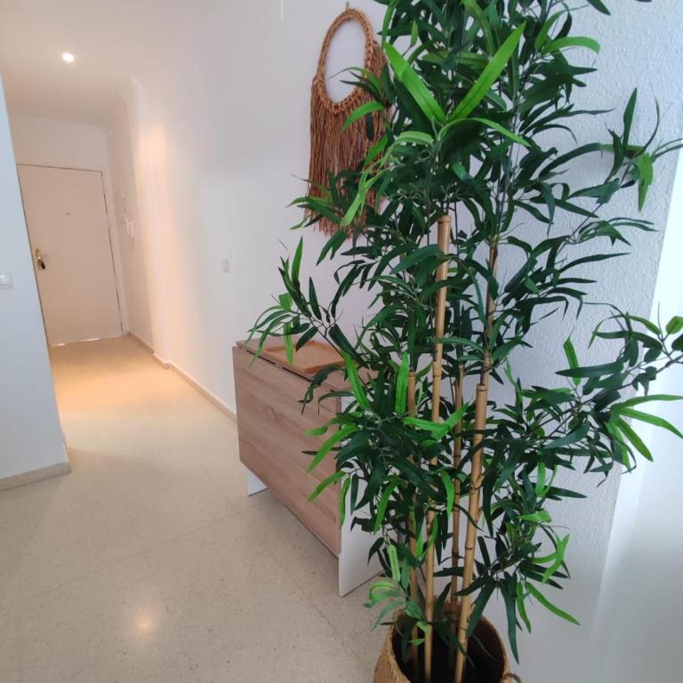 Piso a estrenar en el pintoresco Barrio Alto - Apartamento Estándar de 2 dormitorios - 4