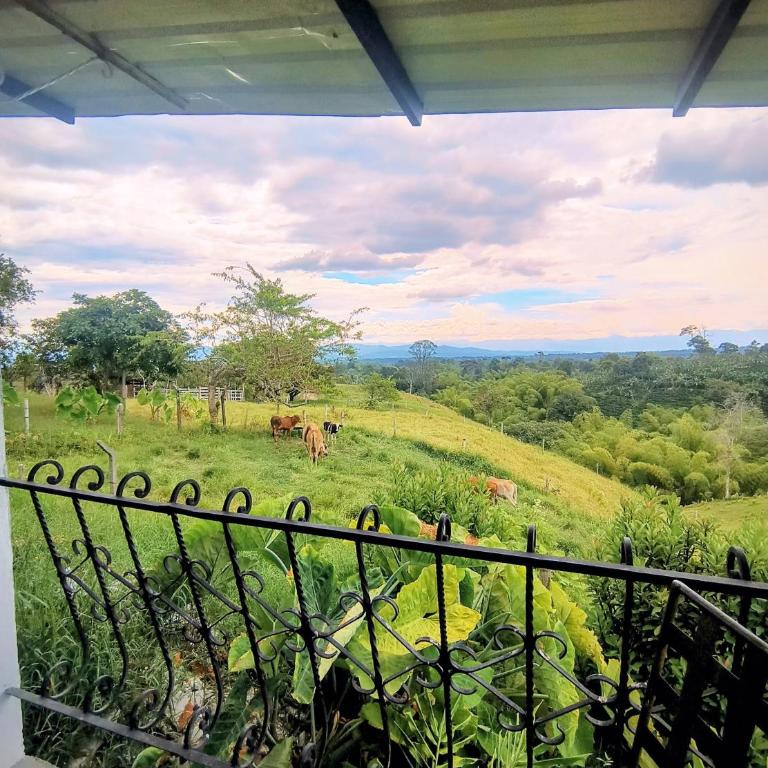 Betania Alojamiento Rural Quindío Eje Cafetero espectacular! - Habitación Doble con balcón - 2