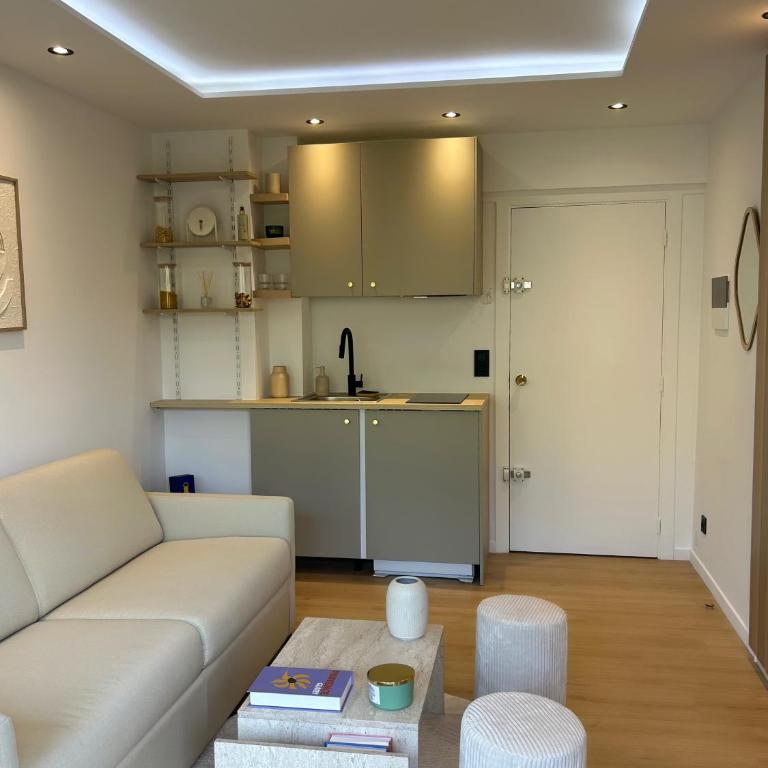 Charmant studio avec grande terrasse - Appartement 1 Chambre - 5